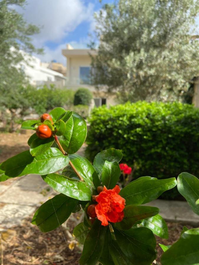 מוסטה Maltese Garden Villa מראה חיצוני תמונה